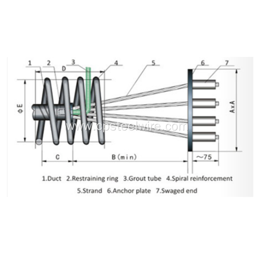 YMP Dead-end anchorage for pc strand